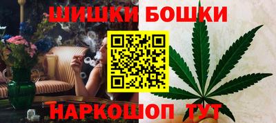 стаф Будённовск
