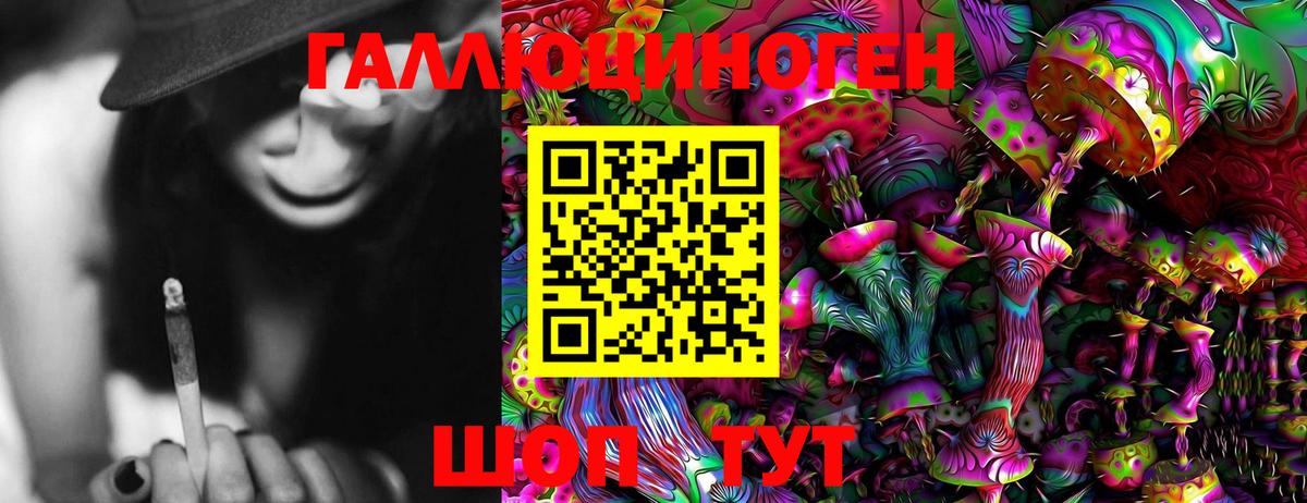 Псилоцибиновые грибы мицелий  Вход с VPN  Отрадное  Галлюциногенные грибы Cubensis 